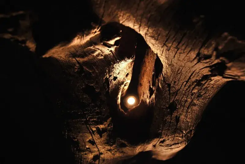 Escultura iluminada decorativa arte con madera 4