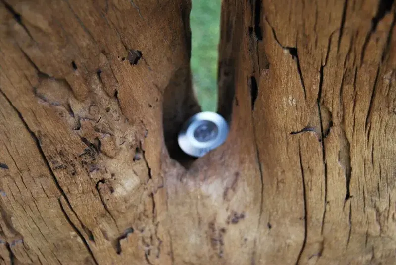 Escultura iluminada decorativa arte con madera 5