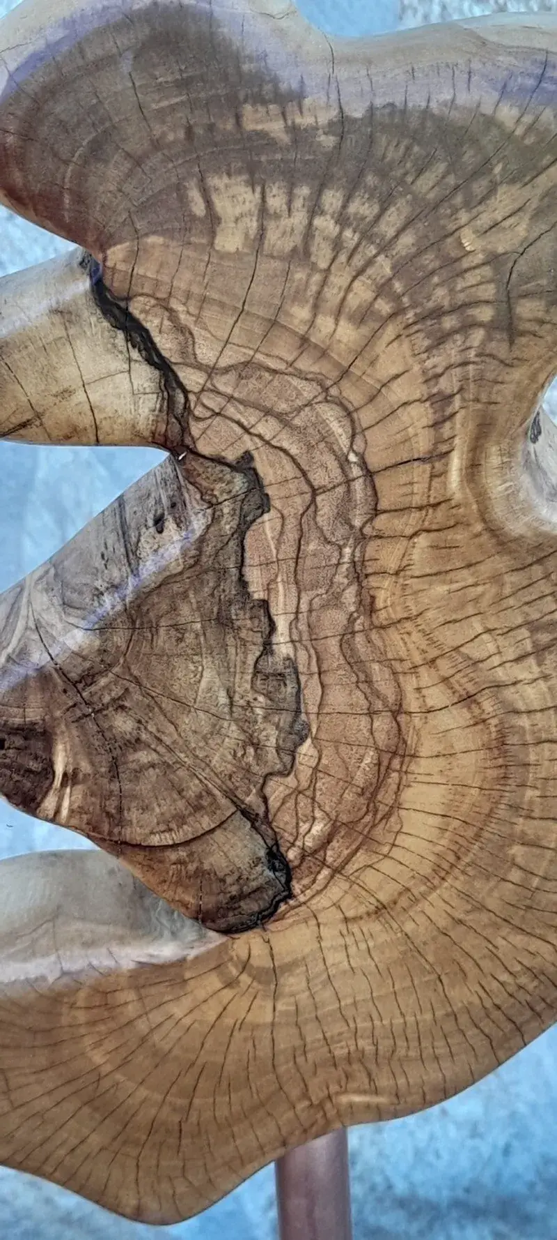 Escultura madera de olivo 3