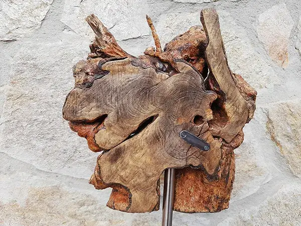 escultura decorativa olivo salvaje 2